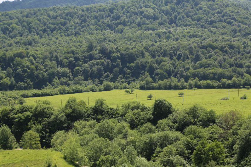 Жанхотовский