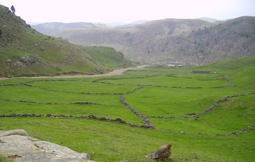 Жерештиевский на Хасауте